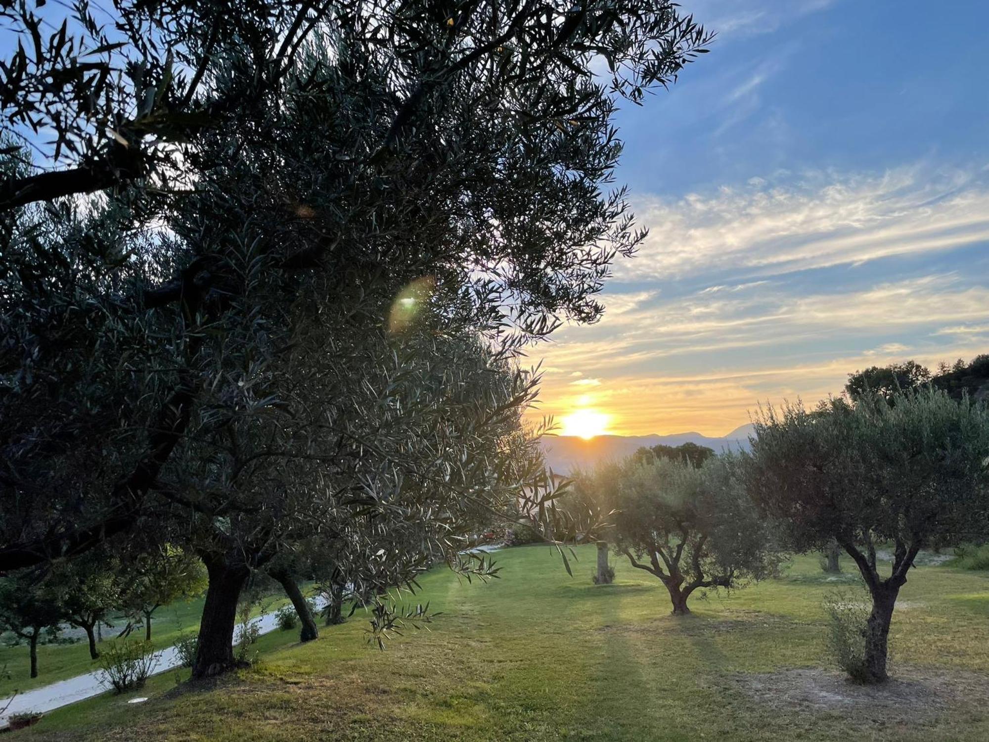 Agriturismo Villa Rosetta San Severino Marche Kültér fotó