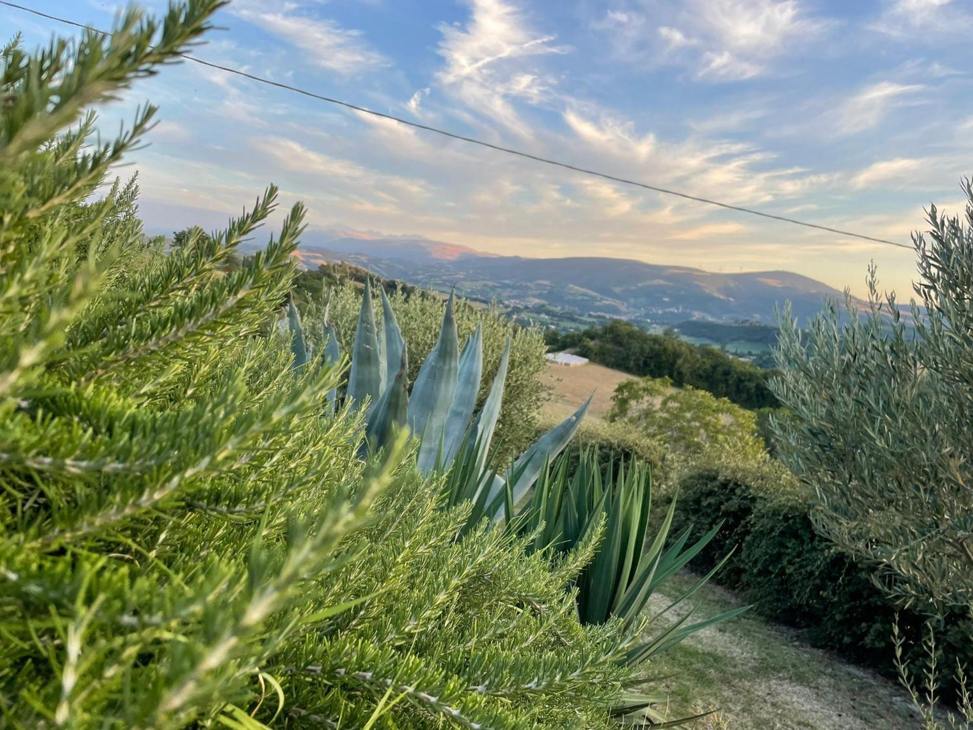 Agriturismo Villa Rosetta San Severino Marche Kültér fotó