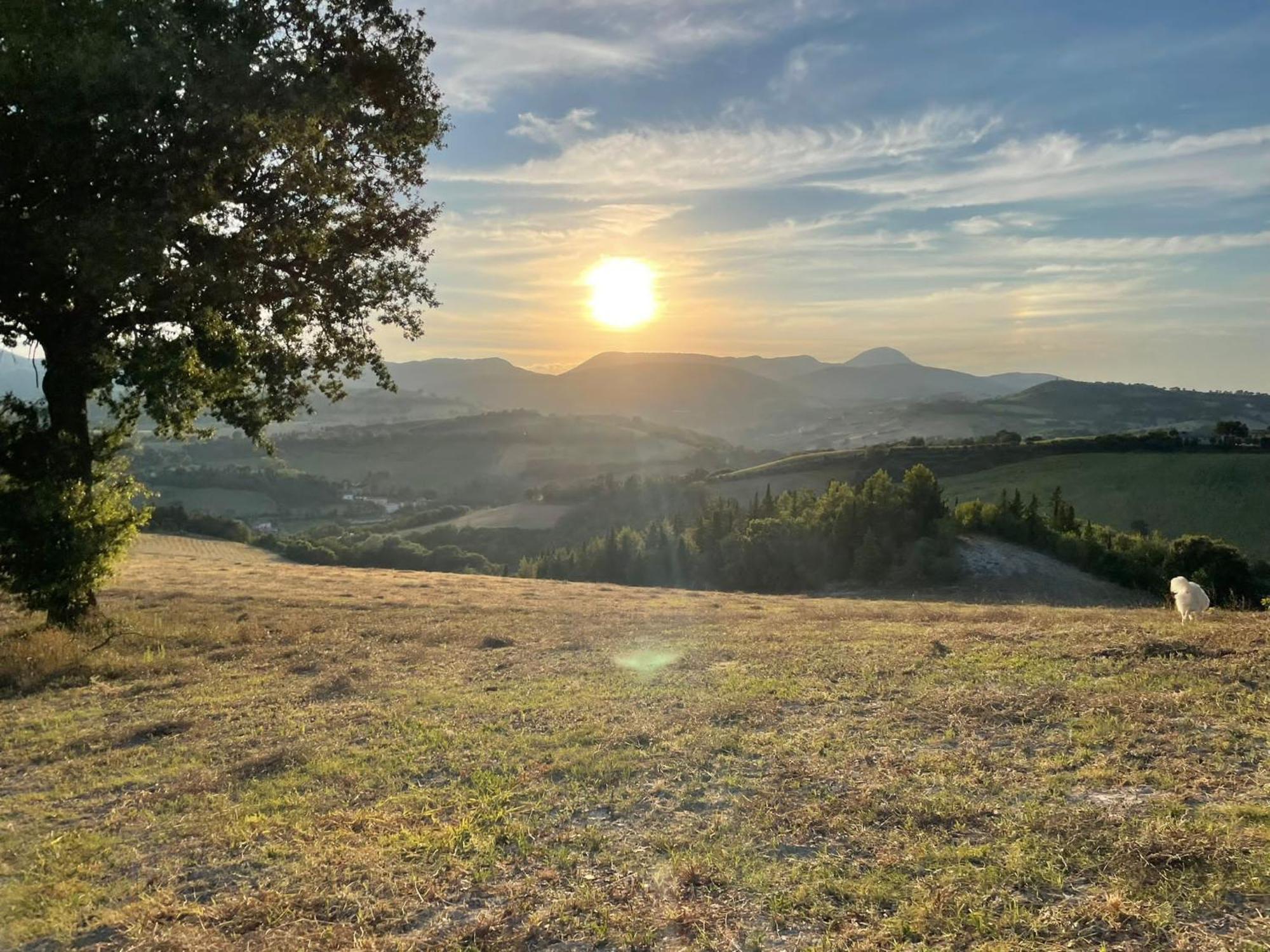 Agriturismo Villa Rosetta San Severino Marche Kültér fotó