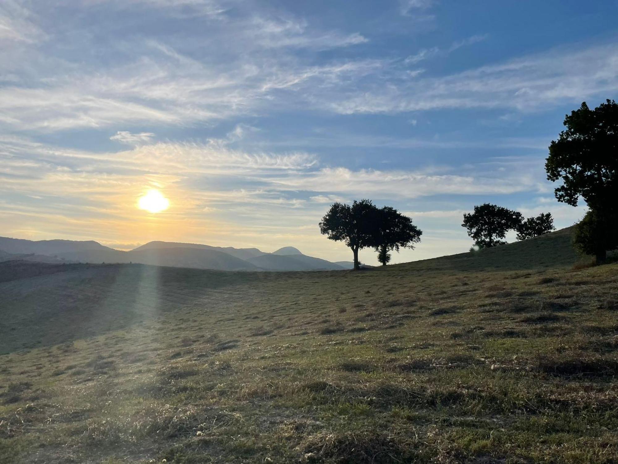 Agriturismo Villa Rosetta San Severino Marche Kültér fotó