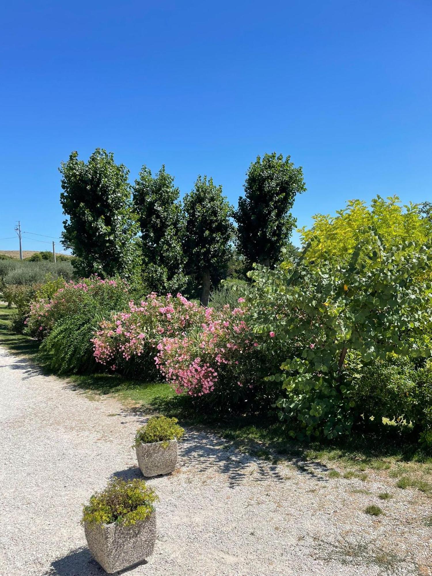 Agriturismo Villa Rosetta San Severino Marche Kültér fotó