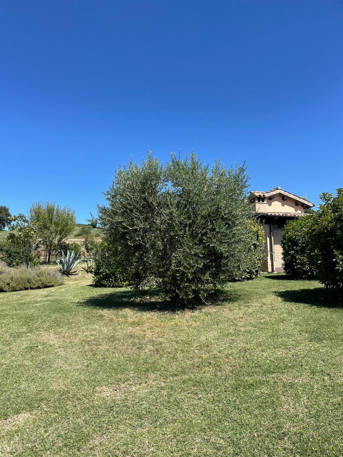 Agriturismo Villa Rosetta San Severino Marche Kültér fotó