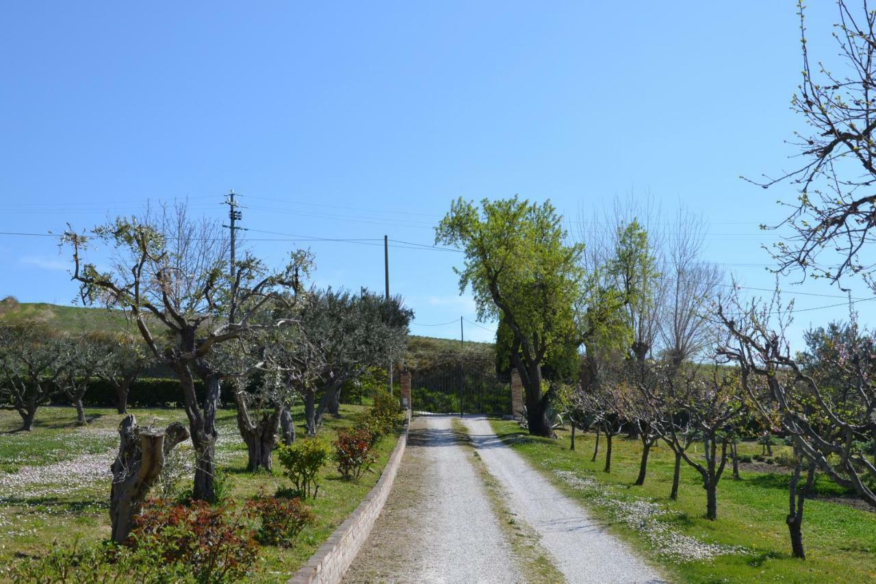 Agriturismo Villa Rosetta San Severino Marche Kültér fotó