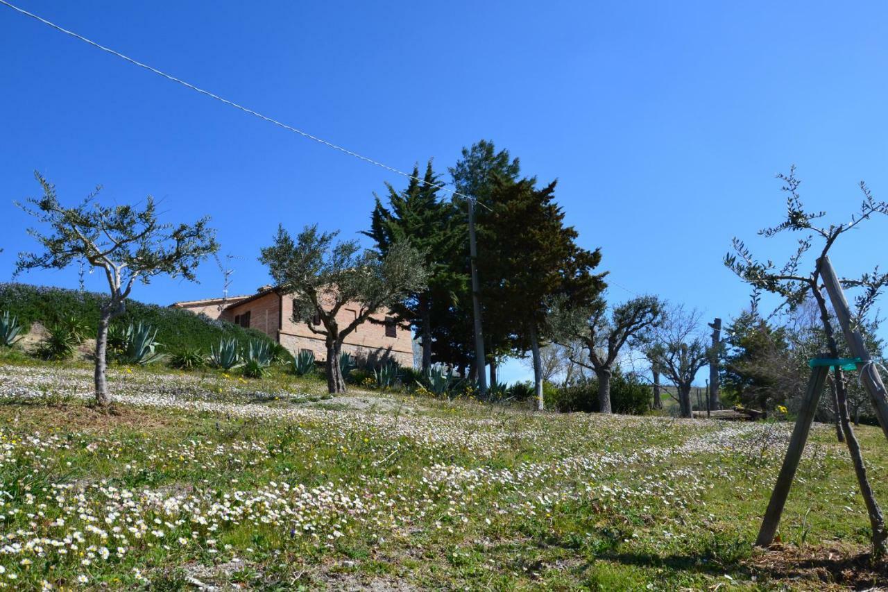 Agriturismo Villa Rosetta San Severino Marche Kültér fotó