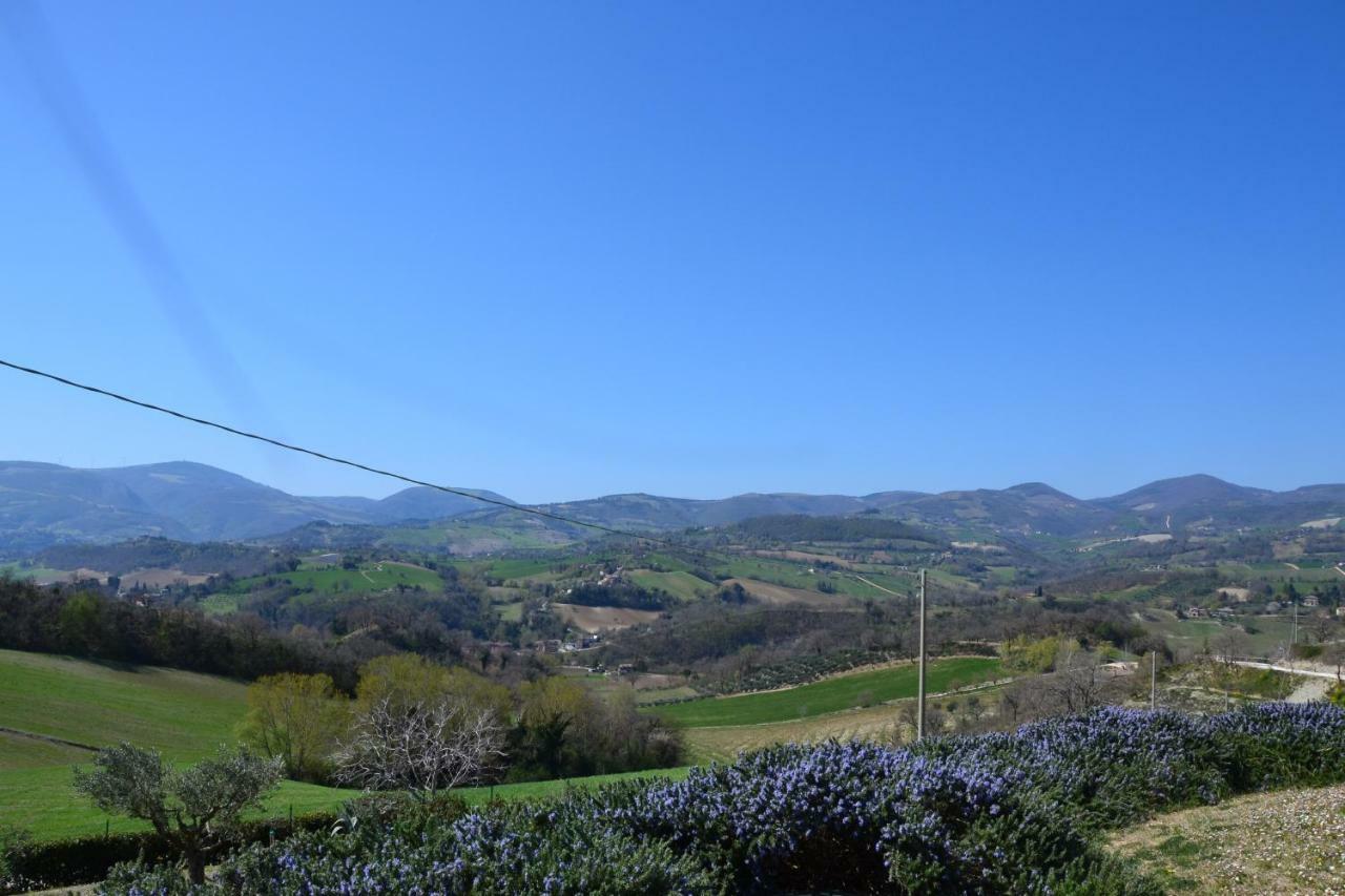 Agriturismo Villa Rosetta San Severino Marche Kültér fotó