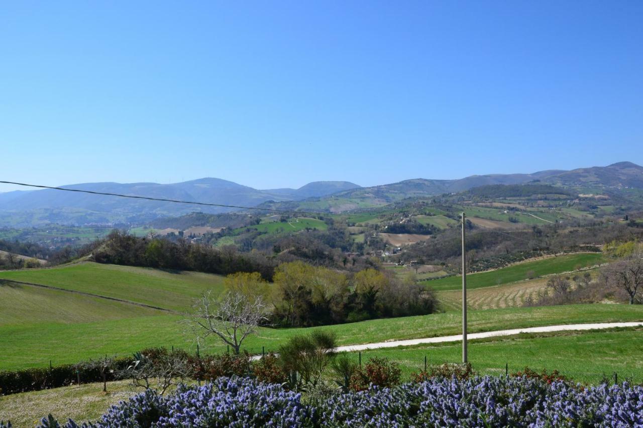 Agriturismo Villa Rosetta San Severino Marche Kültér fotó